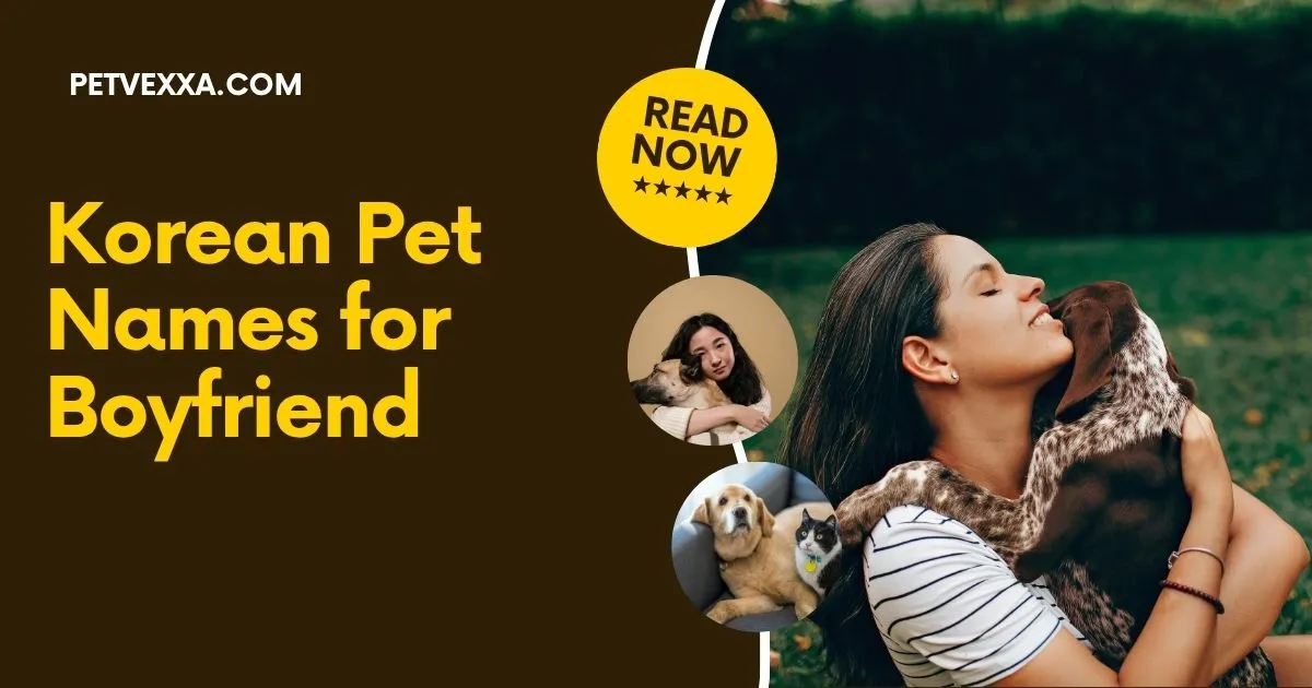 Korean Pet Names for Boyfriend