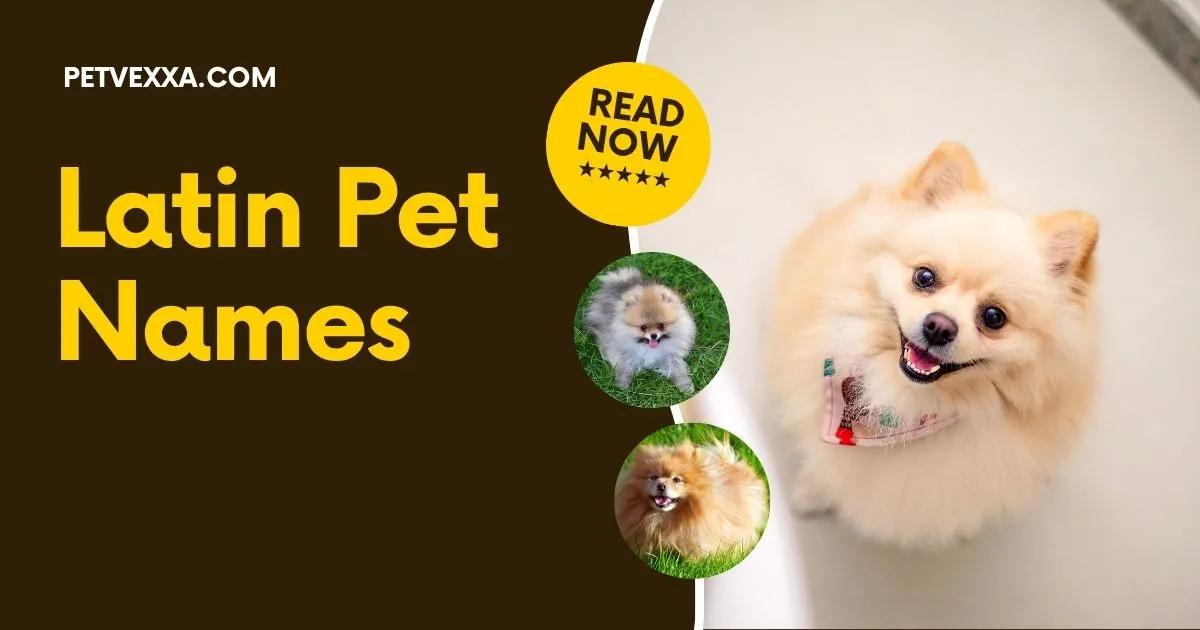 Latin Pet Names