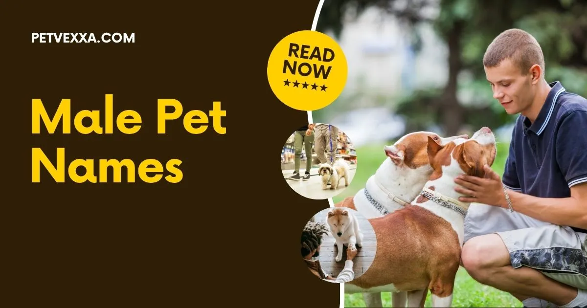 Male Pet Names