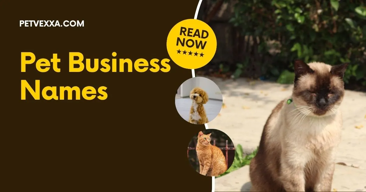 Pet Business Names