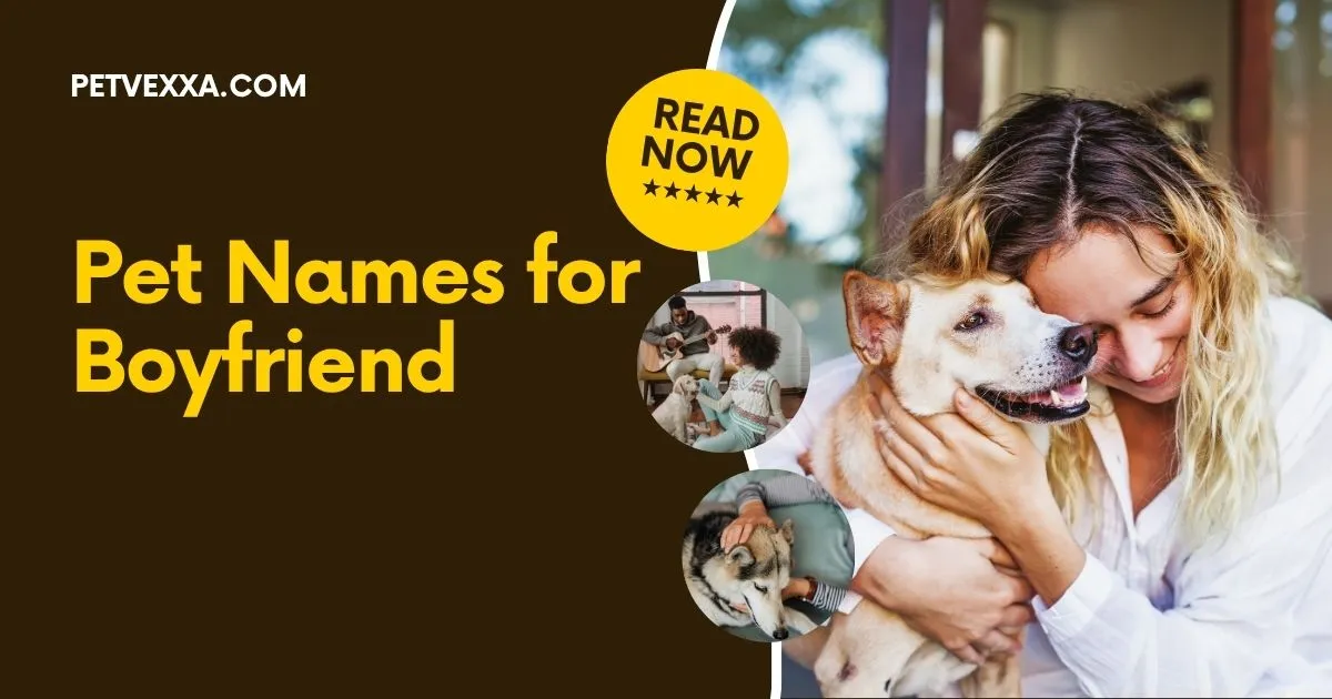 Pet Names for Boyfriend