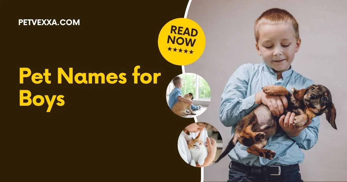Pet Names for Boys