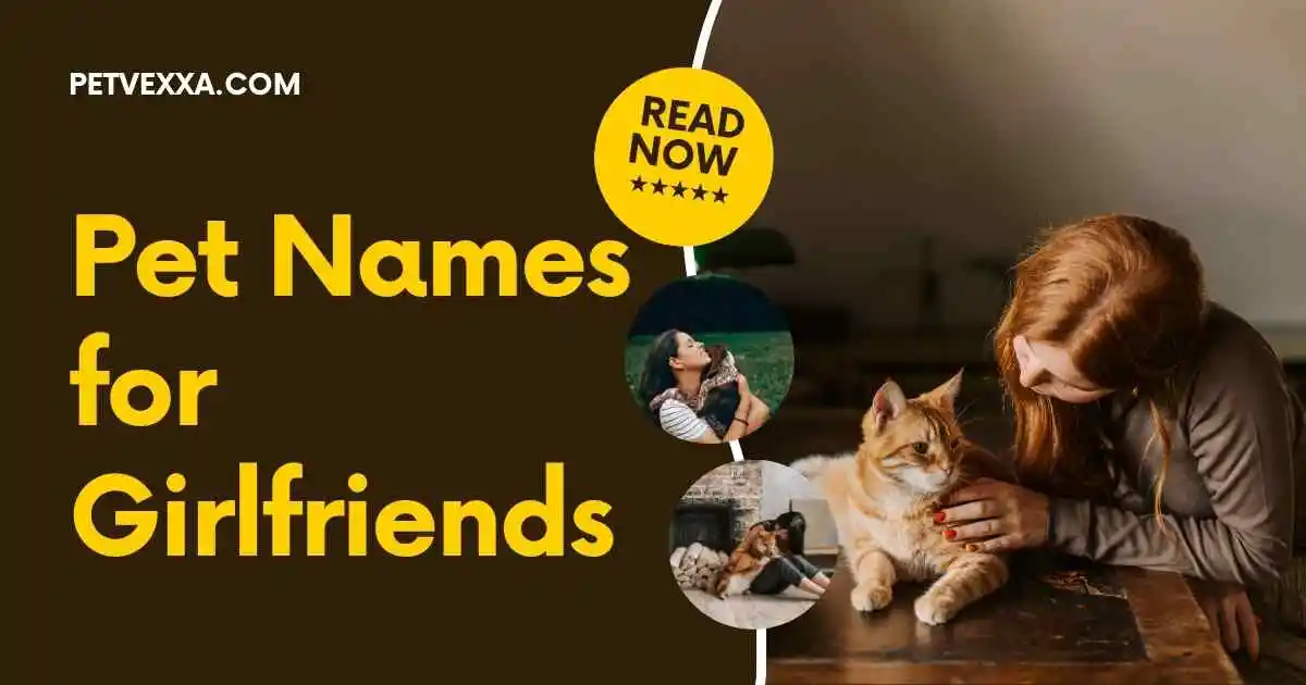Pet Names for Wife