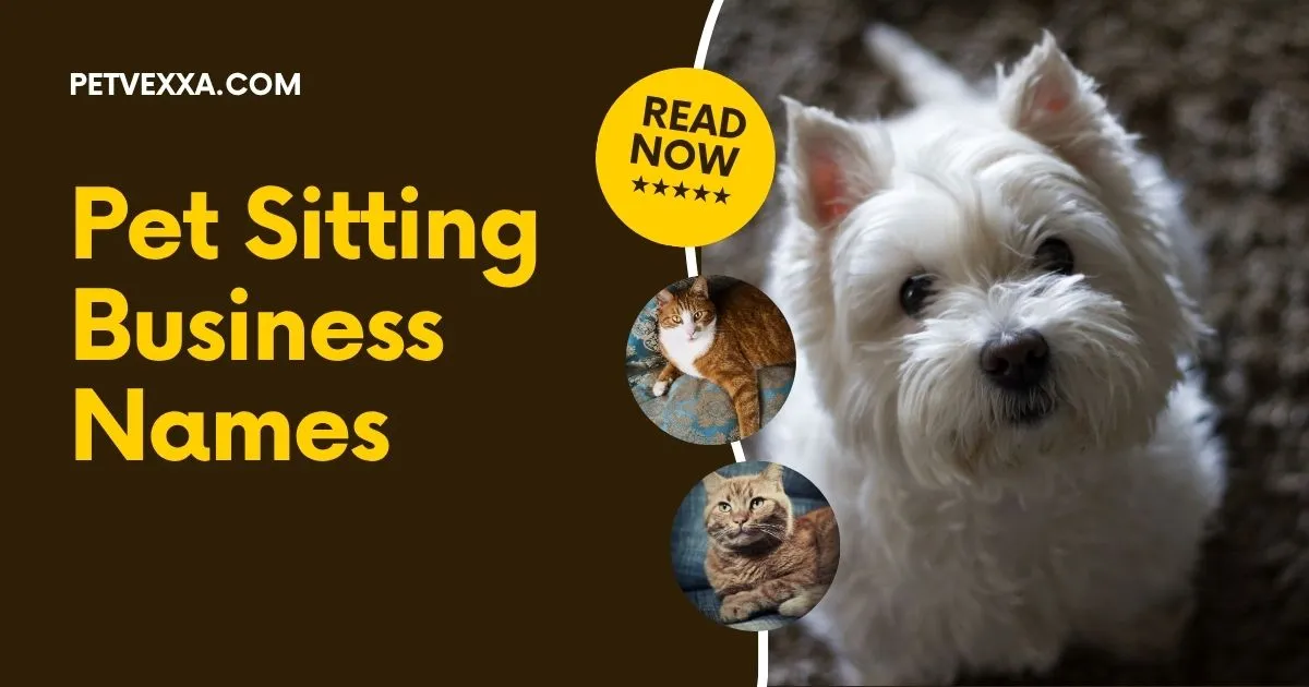 Pet Sitting Business Names