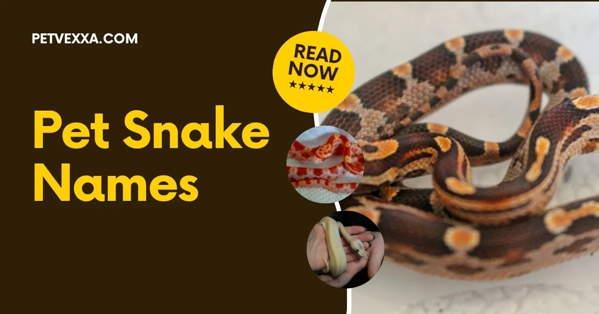 Pet Snake Names