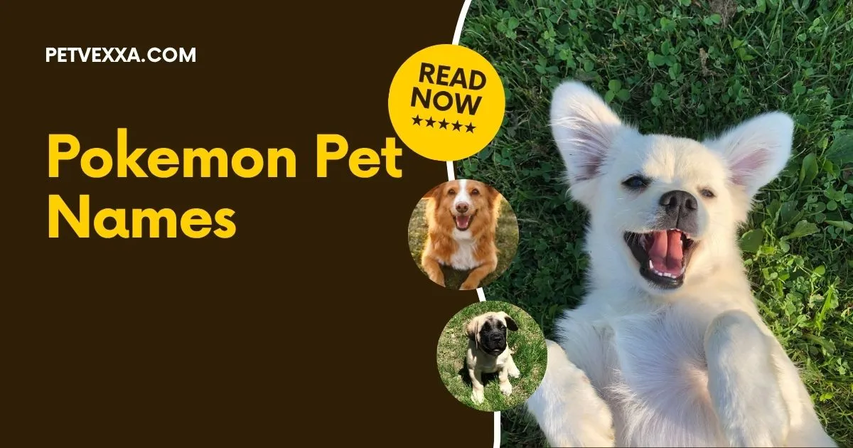 Pokemon Pet Names