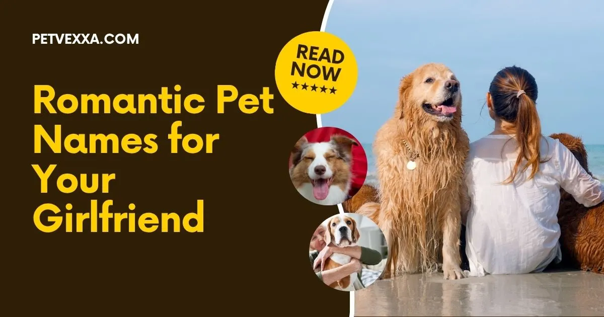 Romantic Pet Names for Your Girlfriend
