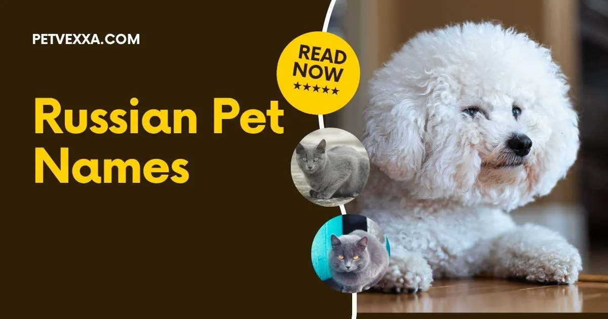 Russian Pet Names