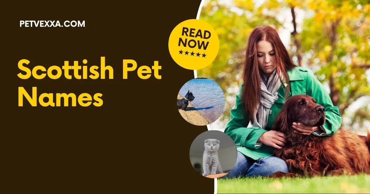 Scottish Pet Names
