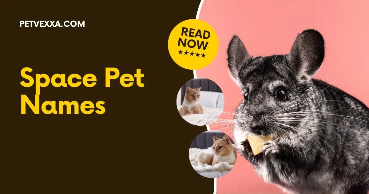 Space Pet Names