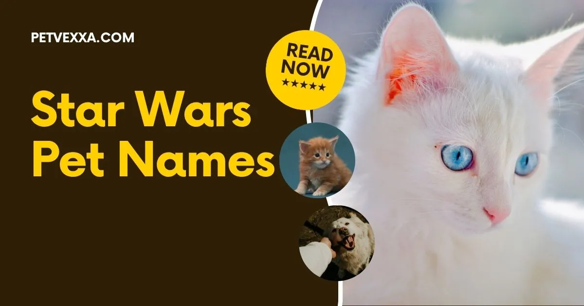 Star Wars Pet Names