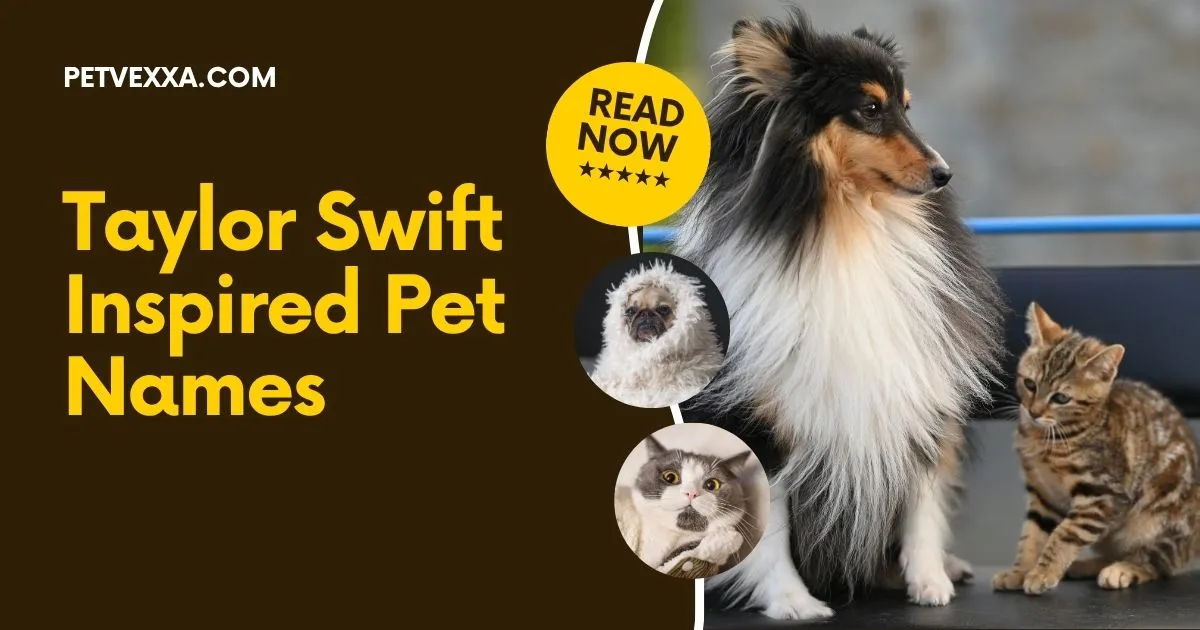 Taylor Swift Inspired Pet Names